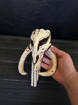Mandalorian Skull | Star Wars Decor | Star Wars Gift for Fans
