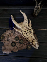 Ivory Dragon Skull Skyrim, The Elder Scrolls V Artifact, Skyrim Cosplay and Decor