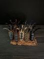 Skyrim Set of 10 Dragon Claws, Skyrim Artifact, The Elder Scrolls Decor, Replicas for Cosplay