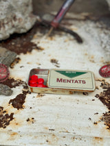 Fallout Rusted Mentats Pillbox, Metal Boxes and Pills, Decor and Cosplay, Props
