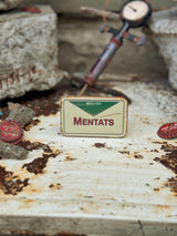 Fallout Rusted Mentats Pillbox, Metal Boxes and Pills, Decor and Cosplay, Props