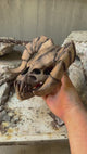 Deathclaw Skull Fallout, Fallout Game Series Inspired Statue, 3D-printed Props
